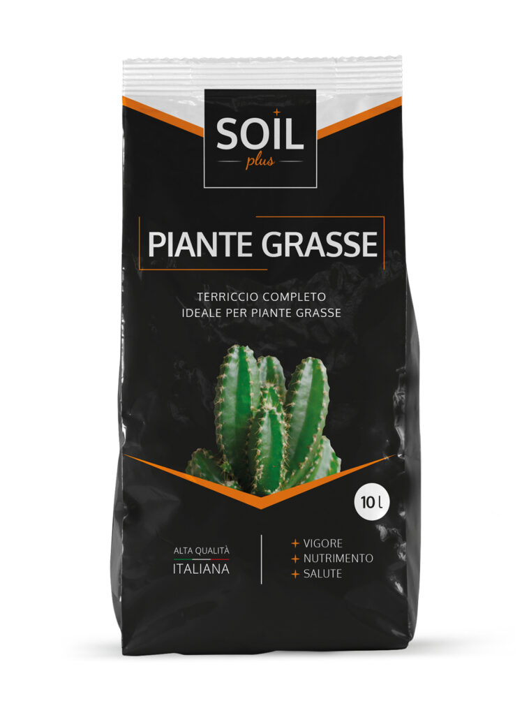 soil-plus-piante-grasse